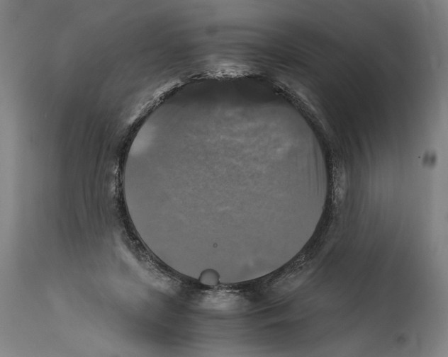 X0000114390451200911131346