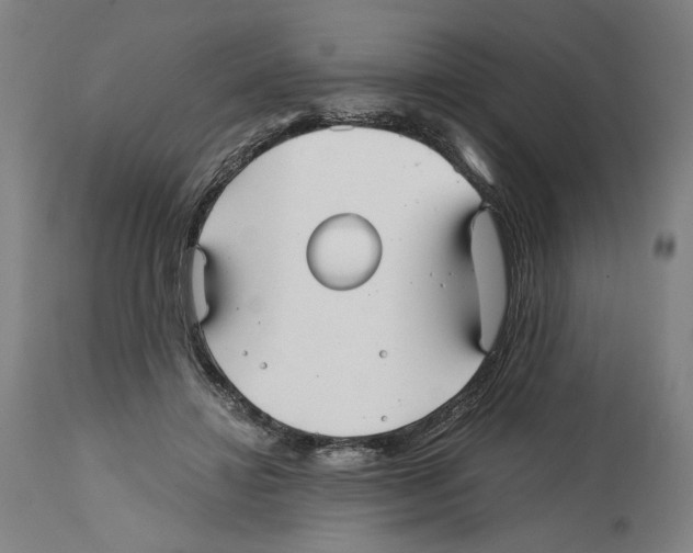 X0000114390452200911131346