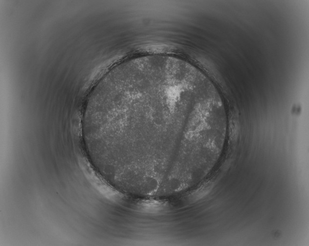 X0000114390453200911131346