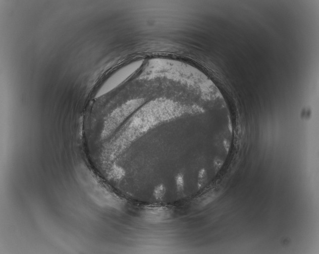 X0000114390454200911131346