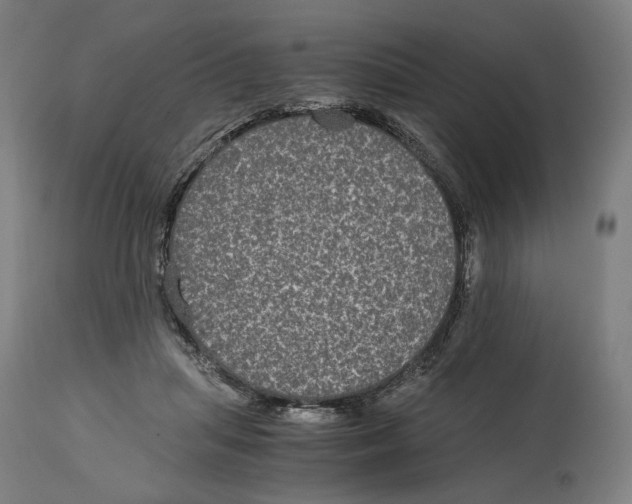 X0000114390455200911131346