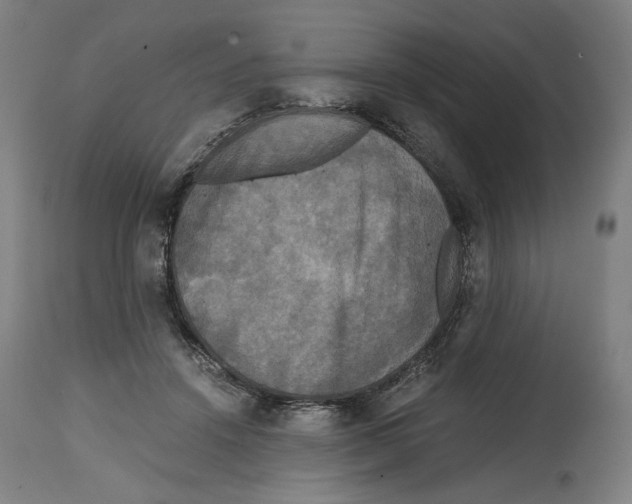 X0000114390456200911131346