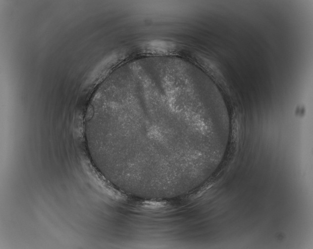 X0000114390457200911131346