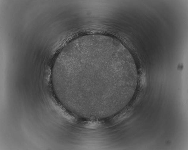 X0000114390458200911131346