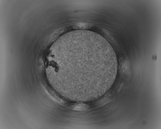 X0000114390459200911131346