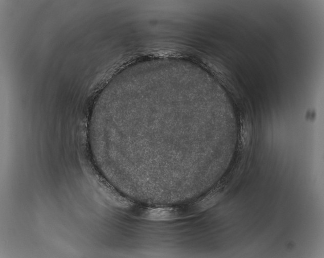 X0000114390461200911131346