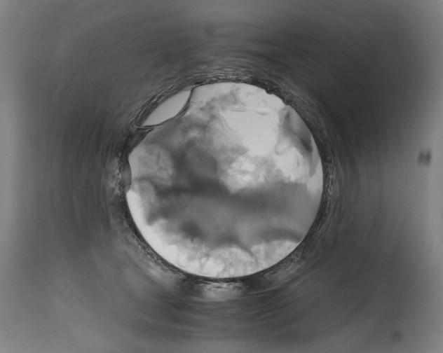 X0000114390465200911131346