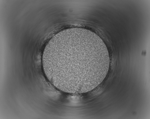 X0000114390466200911131346