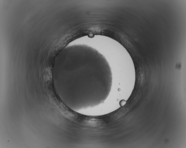 X0000114390467200911131346