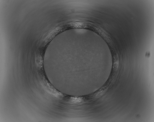 X0000114390469200911131346