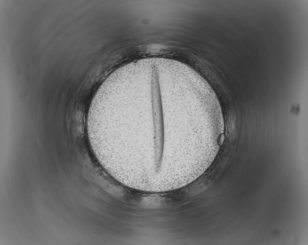 X0000114390470200911131346