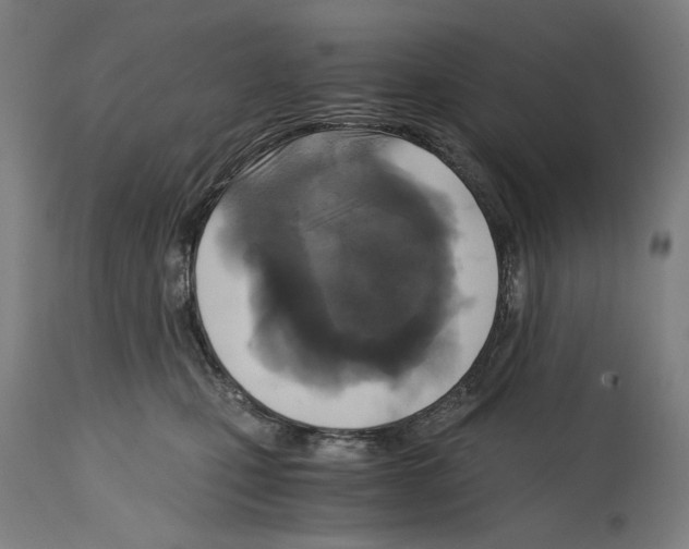 X0000114390471200911131346