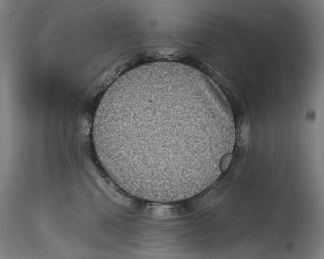 X0000114390472200911131346