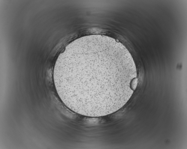 X0000114390473200911131346