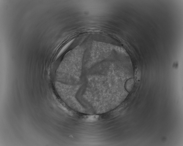 X0000114390474200911131346