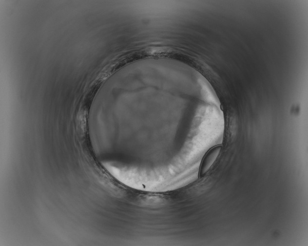 X0000114390475200911131346