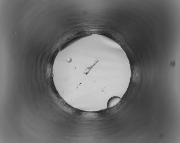 X0000114390476200911131347