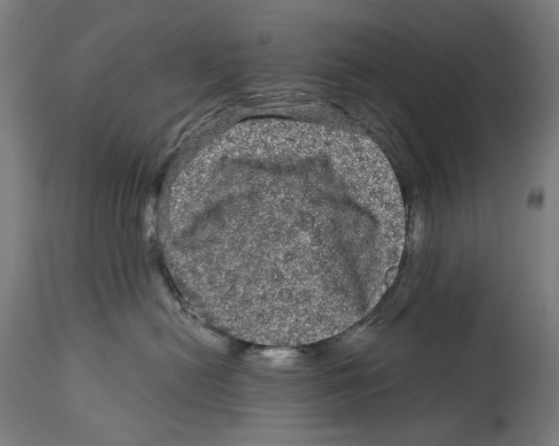 X0000114390478200911131347