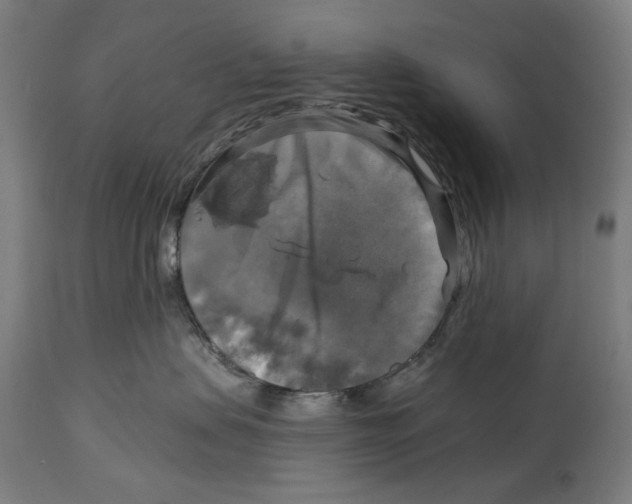 X0000114390479200911131347