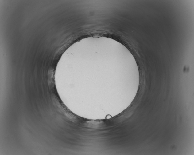 X0000114390480200911131347