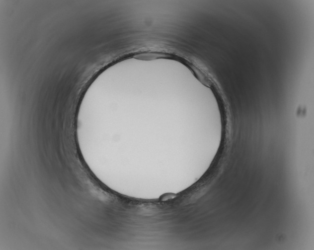 X0000114390481200911131346