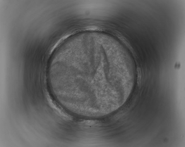 X0000114390482200911131346