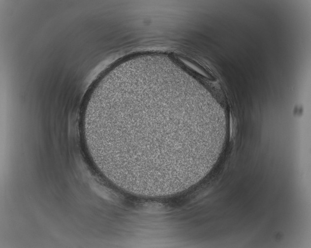 X0000114390483200911131346