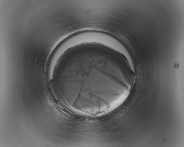 X0000114390484200911131346