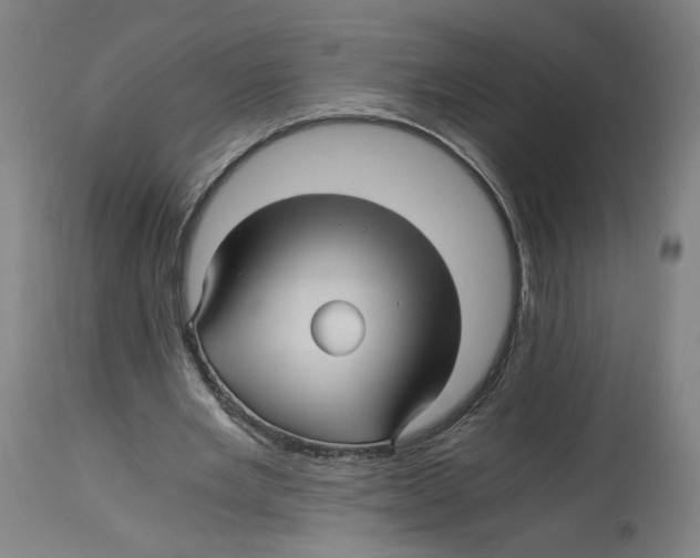 X0000114390485200911131346