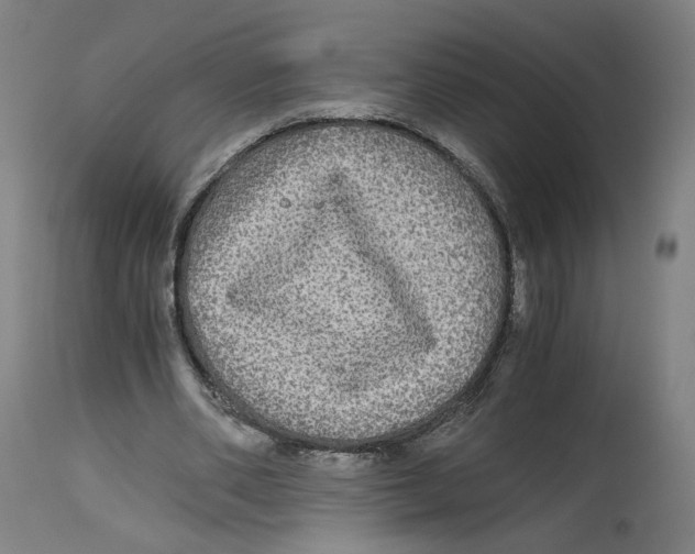 X0000114390486200911131346