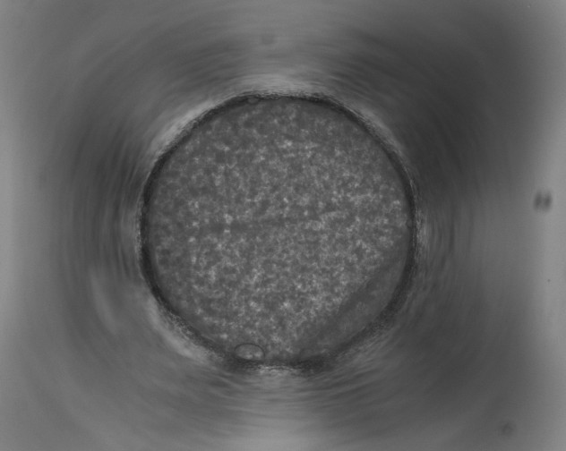 X0000114390487200911131346