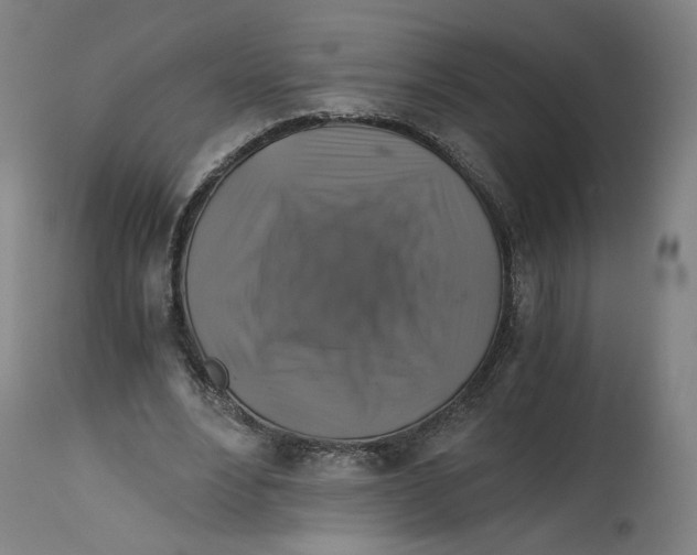 X0000114390488200911131346