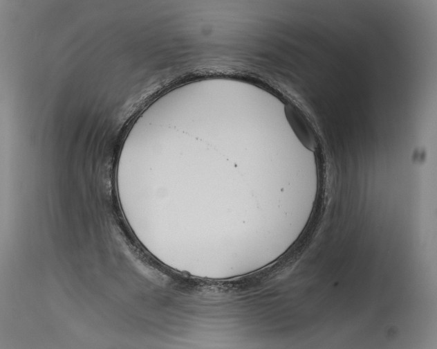 X0000114390489200911131346