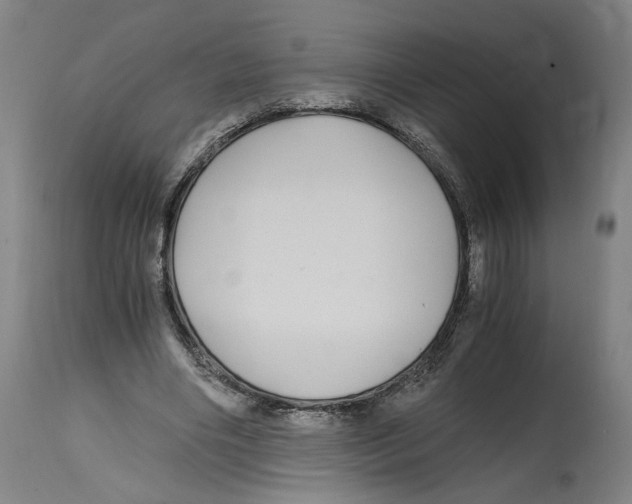 X0000114390490200911131346