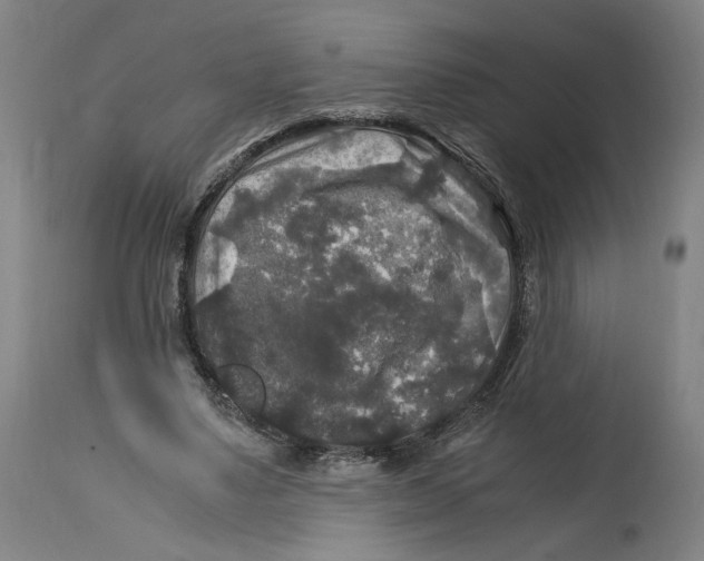 X0000114390491200911131346