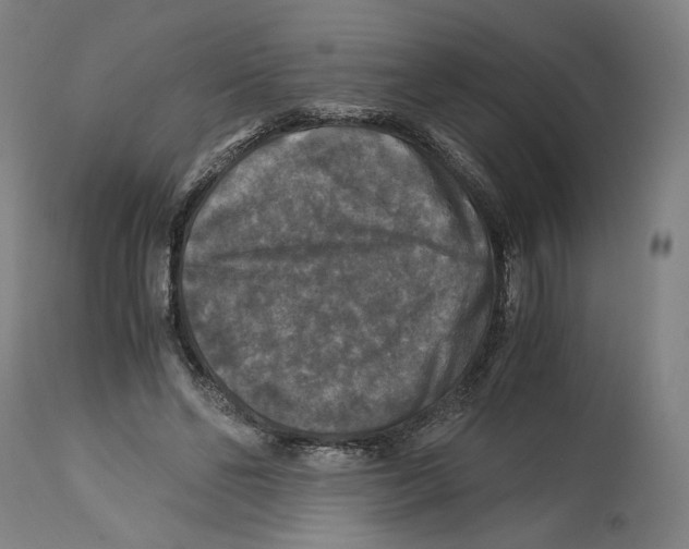 X0000114390494200911131346