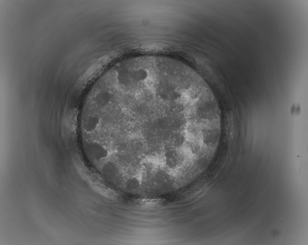 X0000114390495200911131346