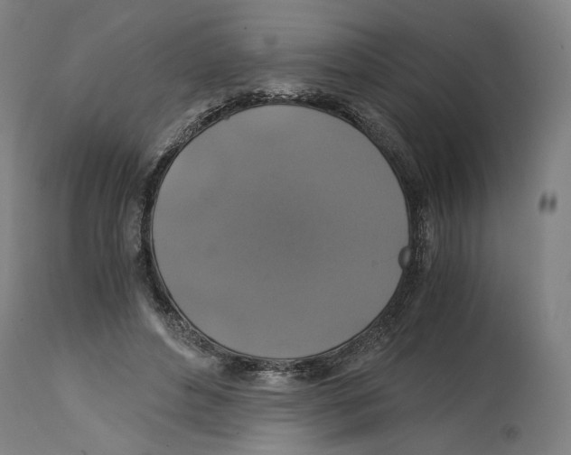 X0000114390496200911131346