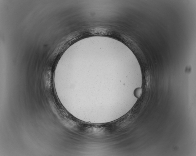 X0000114390498200911131346