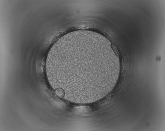 X0000114390499200911131346