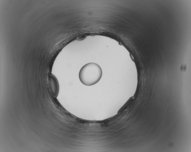 X0000114390501200911131346