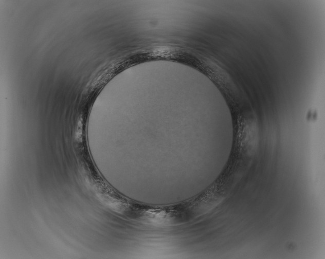 X0000114390502200911131346