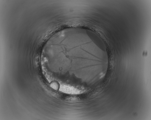 X0000114390503200911131346