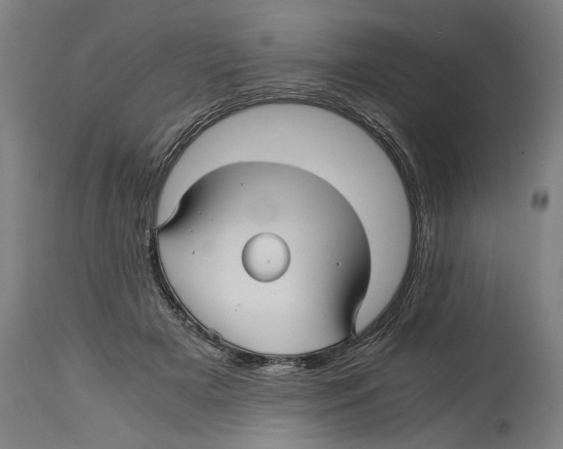 X0000114390505200911131345