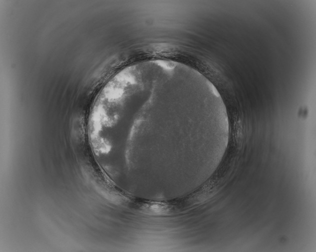 X0000114390506200911131345