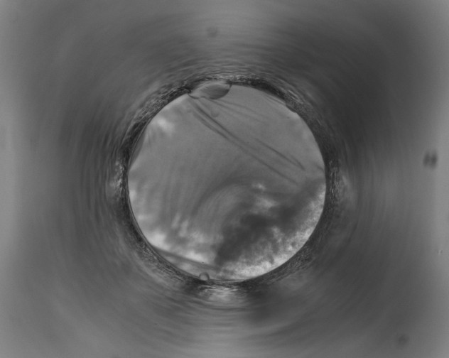 X0000114390507200911131345