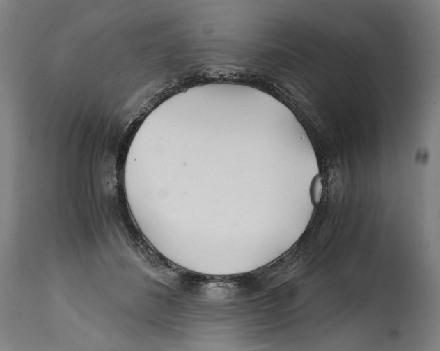 X0000114390508200911131345