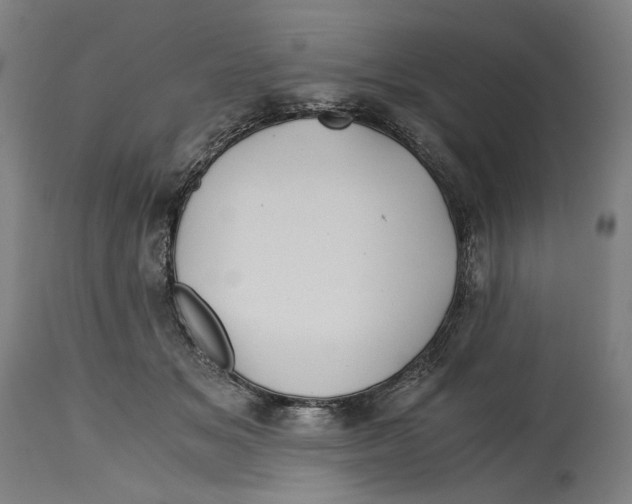 X0000114390509200911131345