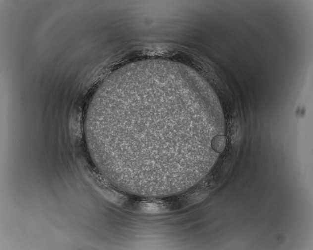 X0000114390510200911131345