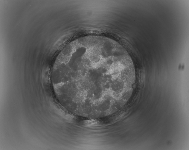 X0000114390511200911131345